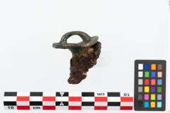 Foto von Bronzeriemenbesatzknopf (NHMW-PRAE-026344)